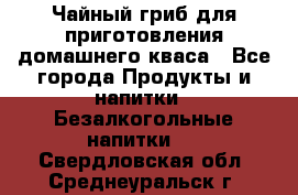 Чайный гриб для приготовления домашнего кваса - Все города Продукты и напитки » Безалкогольные напитки   . Свердловская обл.,Среднеуральск г.